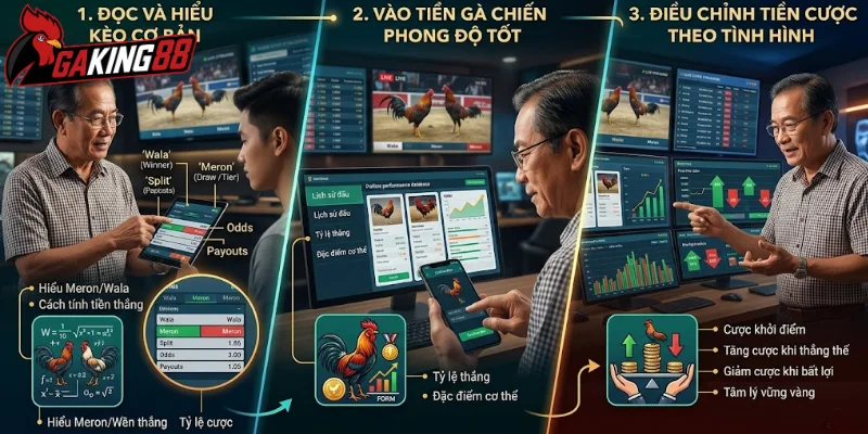 Áp dụng kinh nghiệm đặt cược đá gà trực tuyến hiệu quả