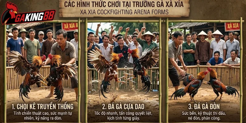 Các hình tại trường gà Xà Xía phổ biến hiện nay