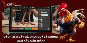 Cách Xem Vảy Gà Chọi Quý Và Những Loại Xấu Cần Tránh