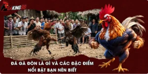 Đá Gà Đòn Là Gì Và Các Đặc Điểm Nổi Bật Bạn Nên Biết