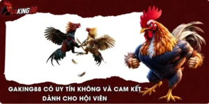GAKING88 Có Uy Tín Không Và Cam Kết Dành Cho Hội Viên