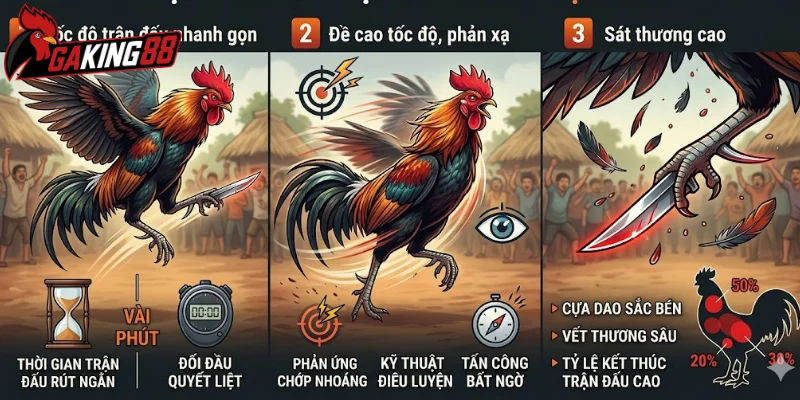 Giải mã sức hút của đá gà cựa dao tại GAKING88