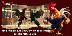 Kinh Nghiệm Đặt Cược Đá Gà Trực Tuyến Chuẩn, Thông Minh