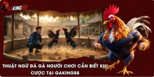 Thuật Ngữ Đá Gà Người Chơi Cần Biết Khi Cược Tại GAKING88