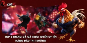 Top 3 Trang Đá Gà Trực Tuyến Uy Tín Hàng Đầu Thị Trường