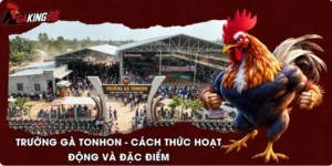 Trường Gà Tonhon - Cách Thức Hoạt Động Và Đặc Điểm